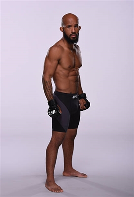 Demetrious Johnson Poster 3516649