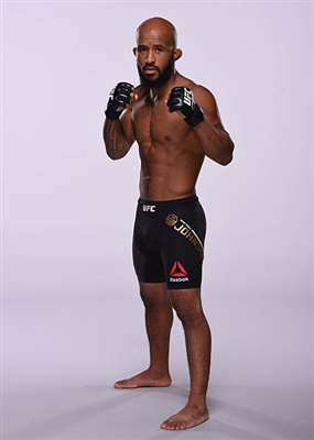 Demetrious Johnson Poster 3516653