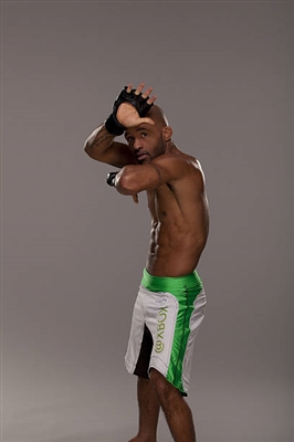 Demetrious Johnson Poster 3516654