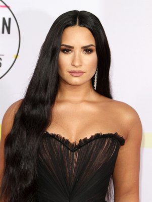 Demi Lovato Poster 2834549