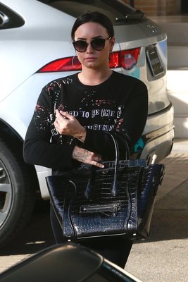 Demi Lovato Poster 2933167