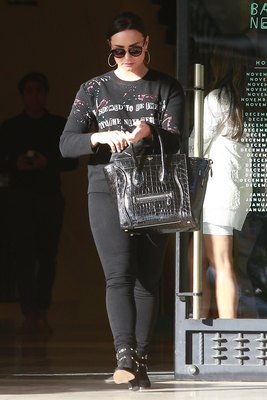 Demi Lovato Poster 2933255