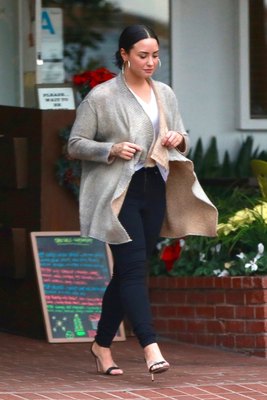 Demi Lovato Poster 2933314