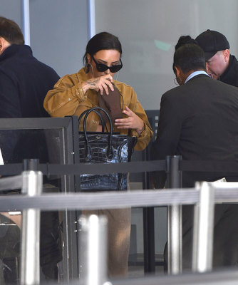 Demi Lovato Poster 2979943