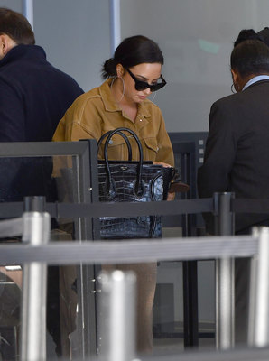 Demi Lovato Poster 2979963