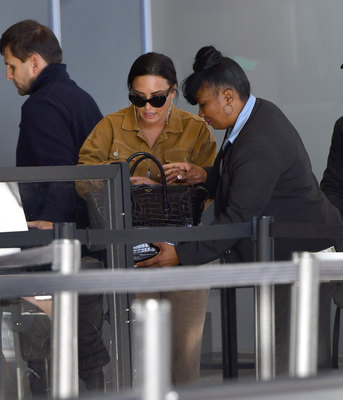 Demi Lovato Poster 2979989