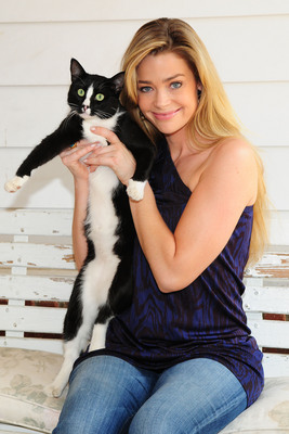 Denise Richards Poster 2099138