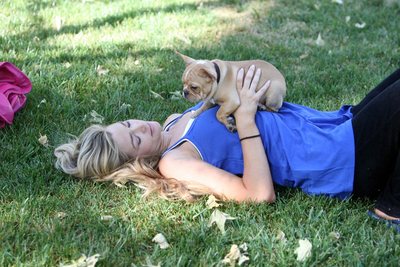 Denise Richards Poster 2123357