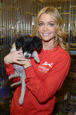 Denise Richards Poster 2128029