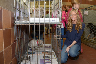 Denise Richards Poster 2128146