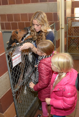 Denise Richards Poster 2128166