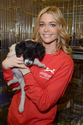 Denise Richards Poster 2128260