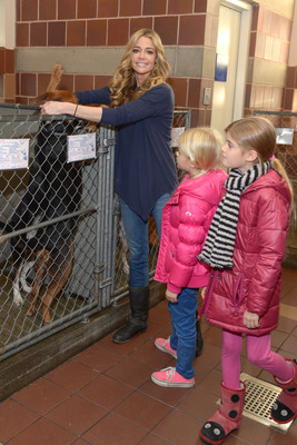 Denise Richards Poster 2128268