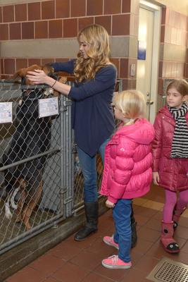 Denise Richards Poster 2128303