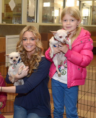 Denise Richards Poster 2128304