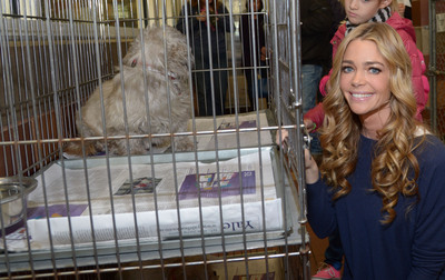 Denise Richards Poster 2128333