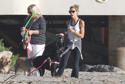 Denise Richards Poster 2750316