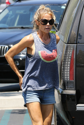 Denise Richards Poster 2750390