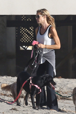 Denise Richards Poster 2750529