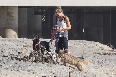 Denise Richards Poster 2750565