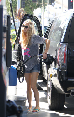 Denise Richards Poster 2750636