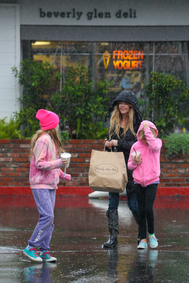 Denise Richards Poster 2750788