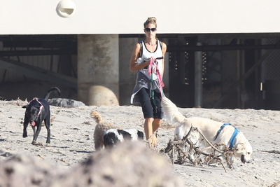 Denise Richards Poster 2750797