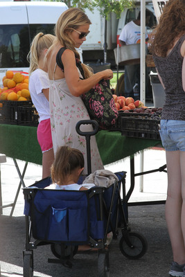 Denise Richards Poster 2751116