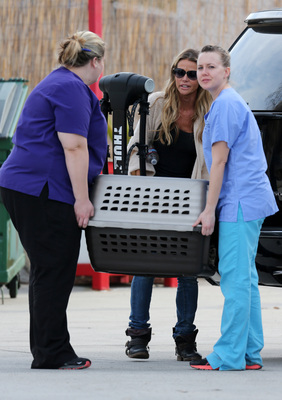 Denise Richards Poster 2751210