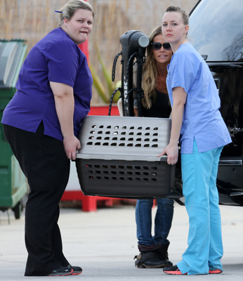 Denise Richards Poster 2751221