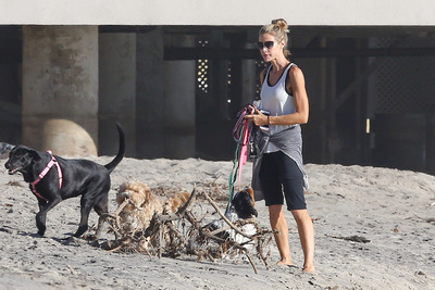 Denise Richards Poster 2751274