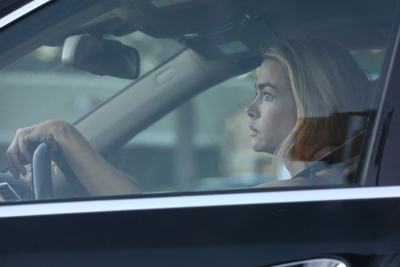 Denise Richards Poster 2751309