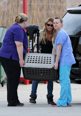 Denise Richards Poster 2751403