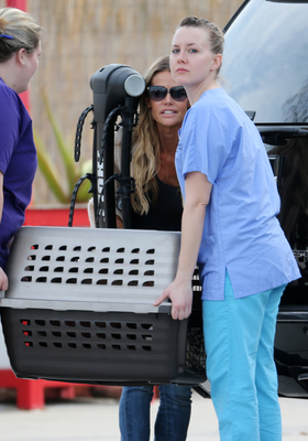 Denise Richards Poster 2751469