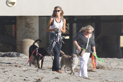 Denise Richards Poster 2751744