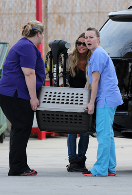 Denise Richards Poster 2751785