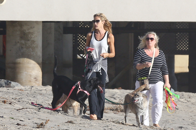 Denise Richards Poster 2751825