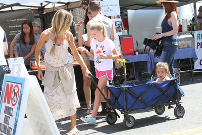 Denise Richards Poster 2751842