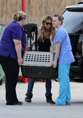 Denise Richards Poster 2751876