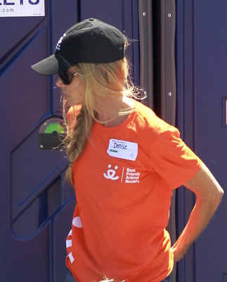 Denise Richards Poster 2751881