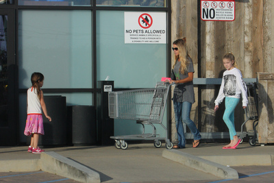 Denise Richards Poster 2751887