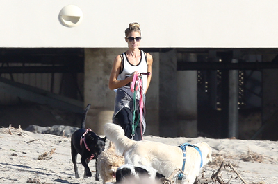 Denise Richards Poster 2752026