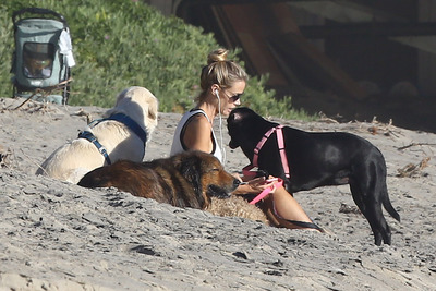 Denise Richards Poster 2752356