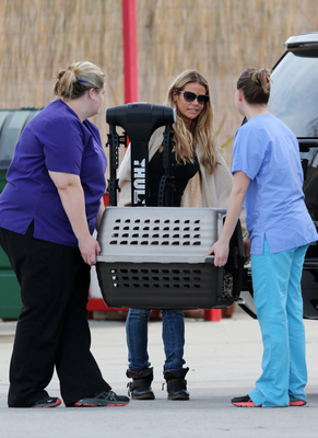 Denise Richards Poster 2752424