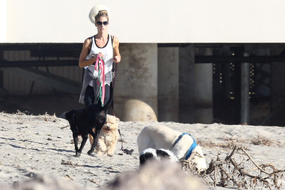 Denise Richards Poster 2752466