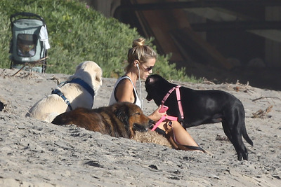 Denise Richards Poster 2752560