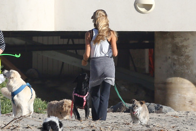 Denise Richards Poster 2752577