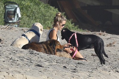 Denise Richards Poster 2752587