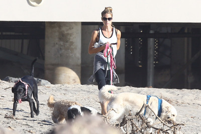 Denise Richards Poster 2752691