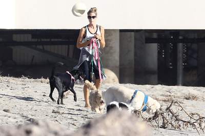 Denise Richards Poster 2752795